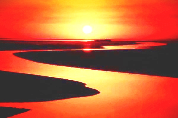 1559198454477004626.jpg