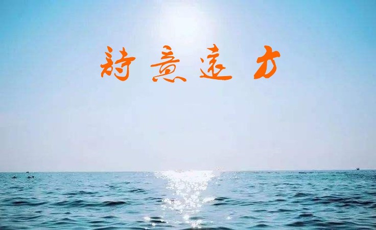 1560756064729082402.jpg