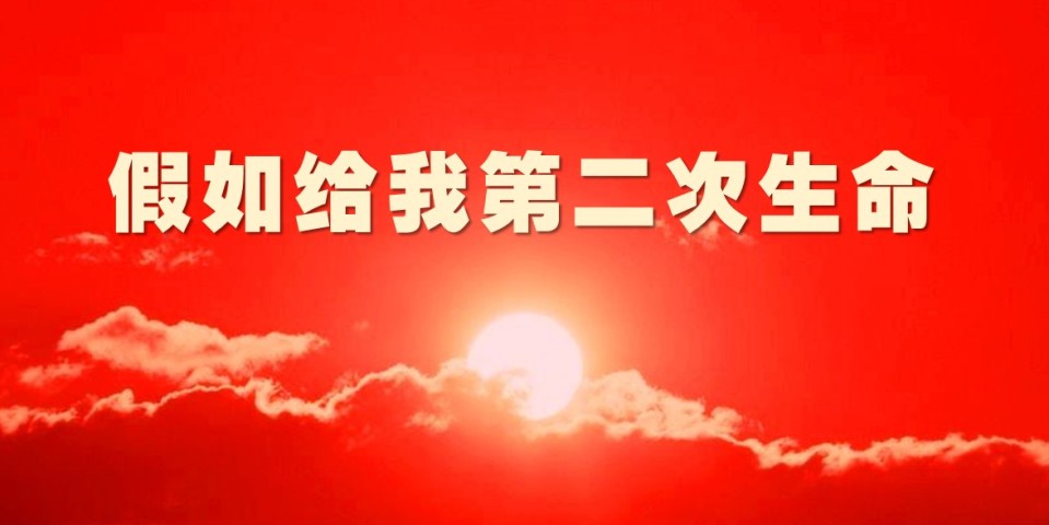 1581204057457035707.jpg