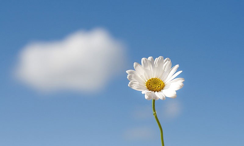 5.jpg 1583416875399054376.jpg