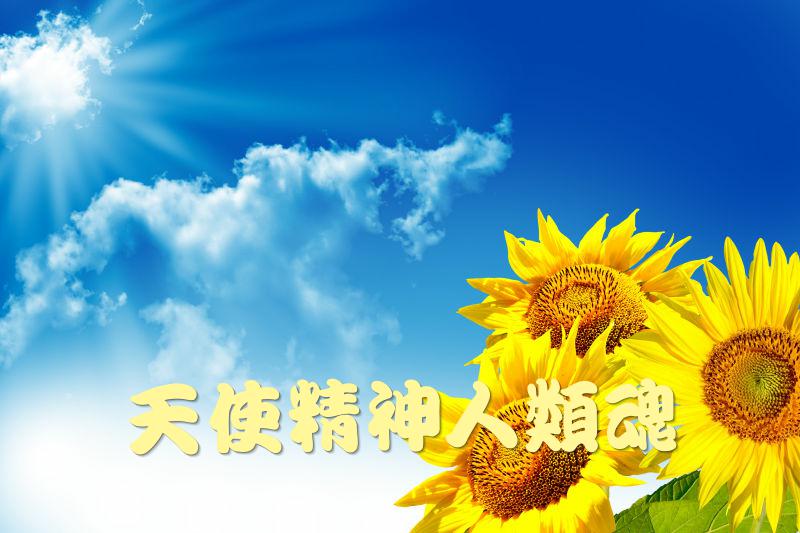 123_HZP.jpg 1586836551856003582.jpg