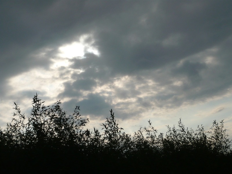 167.。.jpg 1588522247562009582.jpg