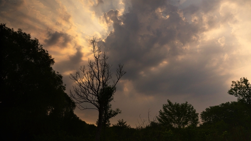 173.。.jpg 1588522250047005152.jpg