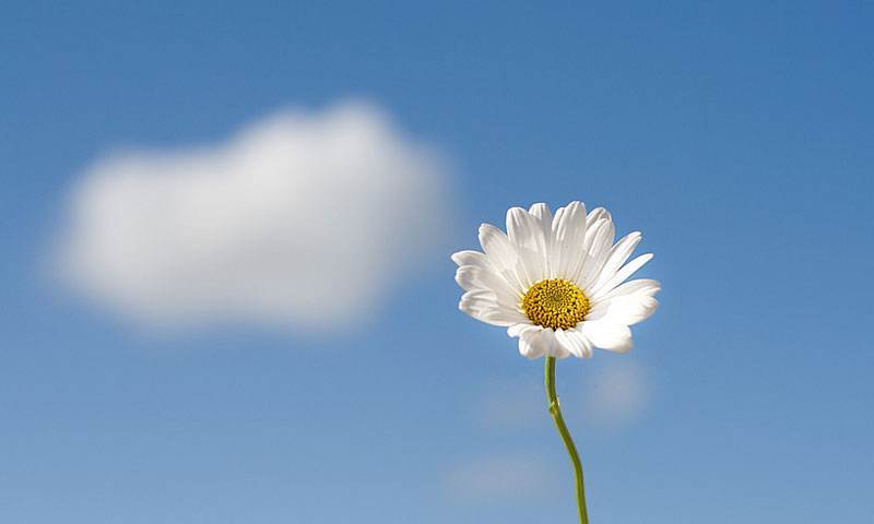 182.jpg 1588642748685006780.jpg