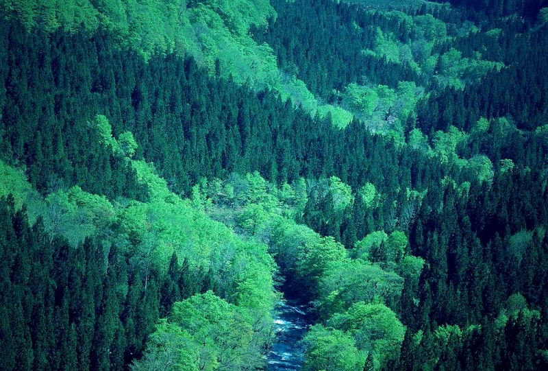 304_HZP.jpg 1589429303569019934.jpg