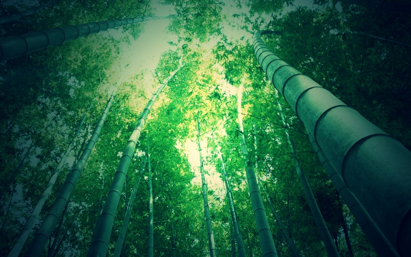 318_HZP.jpg 1589510175067066682.jpg