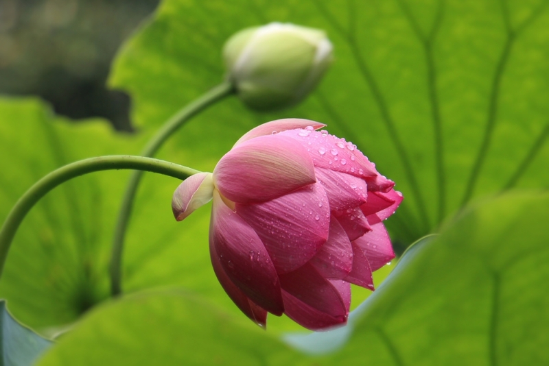 423jpg_HZP.jpg 1591919725336079373.jpg