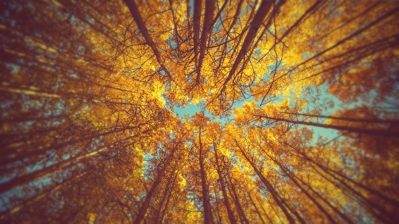 659_HZP.jpg 1599666210210012722.jpg