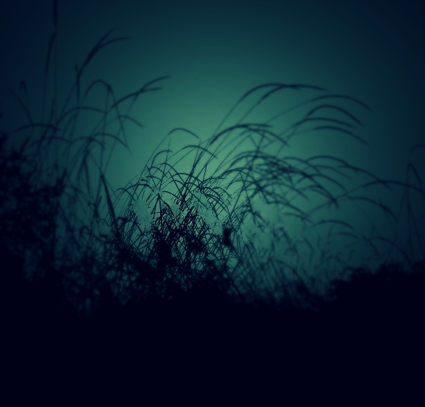 timg (12)_HZP_HZP.jpg 1600928026924018575.jpg
