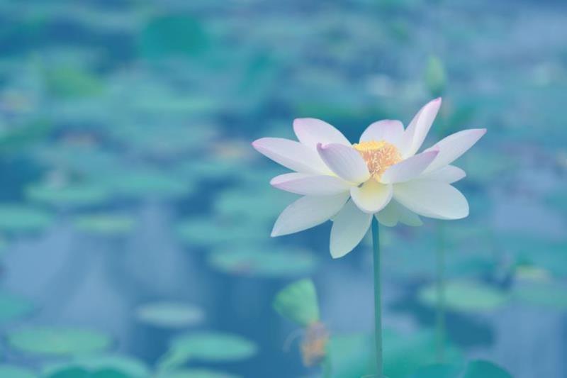 醒惕2.jpg 1615347176869099630.jpg